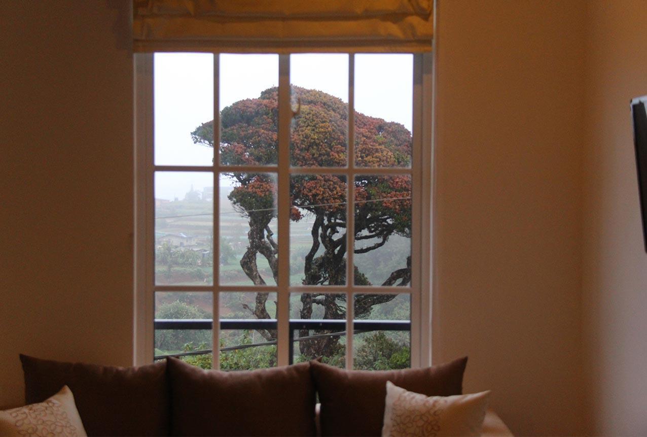 Tranquil Villa Nuwara Eliya Buitenkant foto